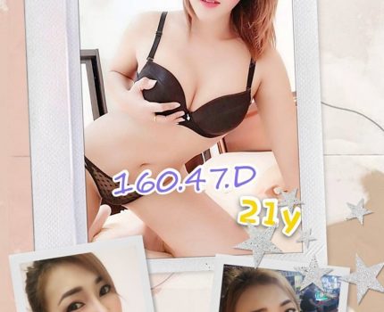 北區外送茶最新茶訊