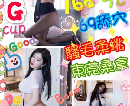 嘉義西區定點最新茶訊