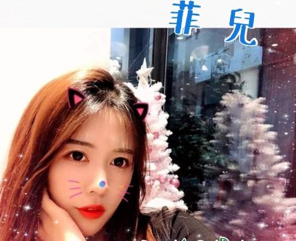 新化區外送茶最新茶訊