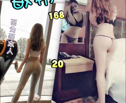 文山外送茶最新資訊