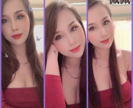 南投一夜情最新動態