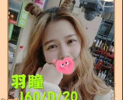 北區一夜情資訊