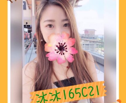 士林區找小姐動態