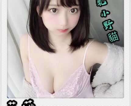 內湖區援交妹動態