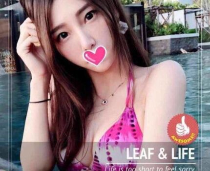 和平區一夜情資訊