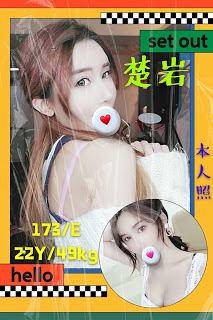 霧臺鄉外送茶新茶訊