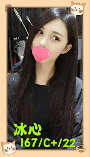 內埔鄉一夜情資訊