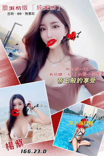 臺南新市區找小姐新資訊