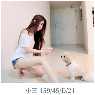 屏東林邊鄉找小姐新資訊