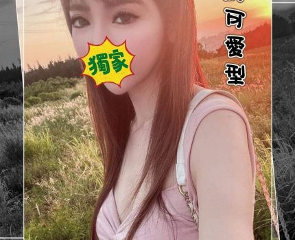 彰化田中鎮約炮外約